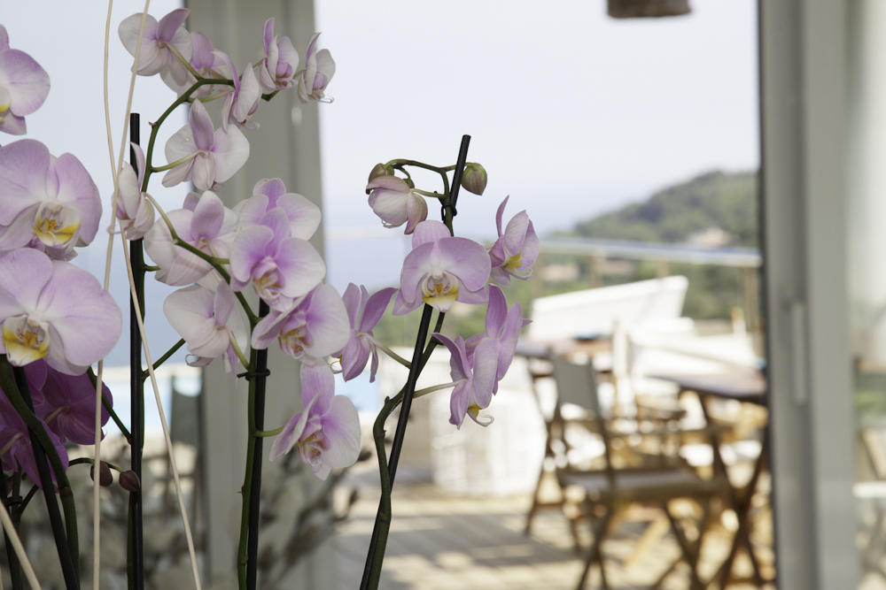 Es Cel De Begur Hotel Cameră foto